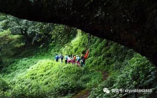 全民烧脑3去广告版